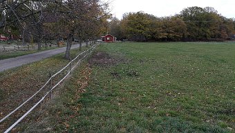 IMG_20181025_151059