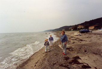 Semester -89 (12)