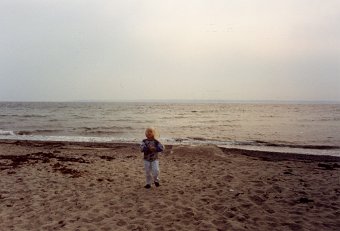 Semester -89 (13)