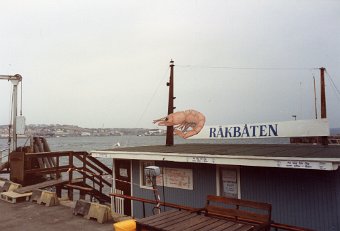 Semester -89 (19)