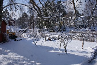 DSC00001