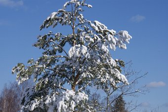 DSC00002
