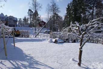 DSC00004