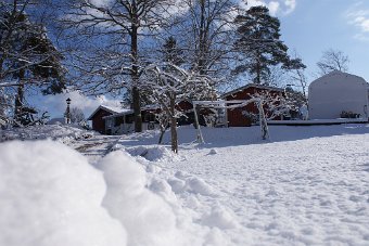 DSC00007