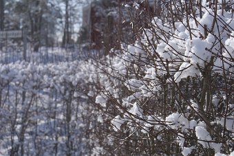 DSC00010