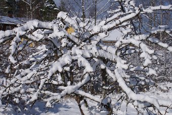 DSC00012