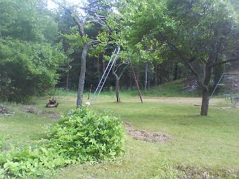 DSC00011