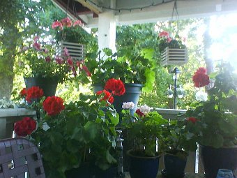DSC00071