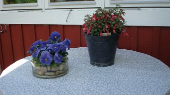 DSC04054