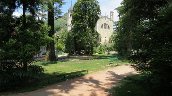 IMG_0855